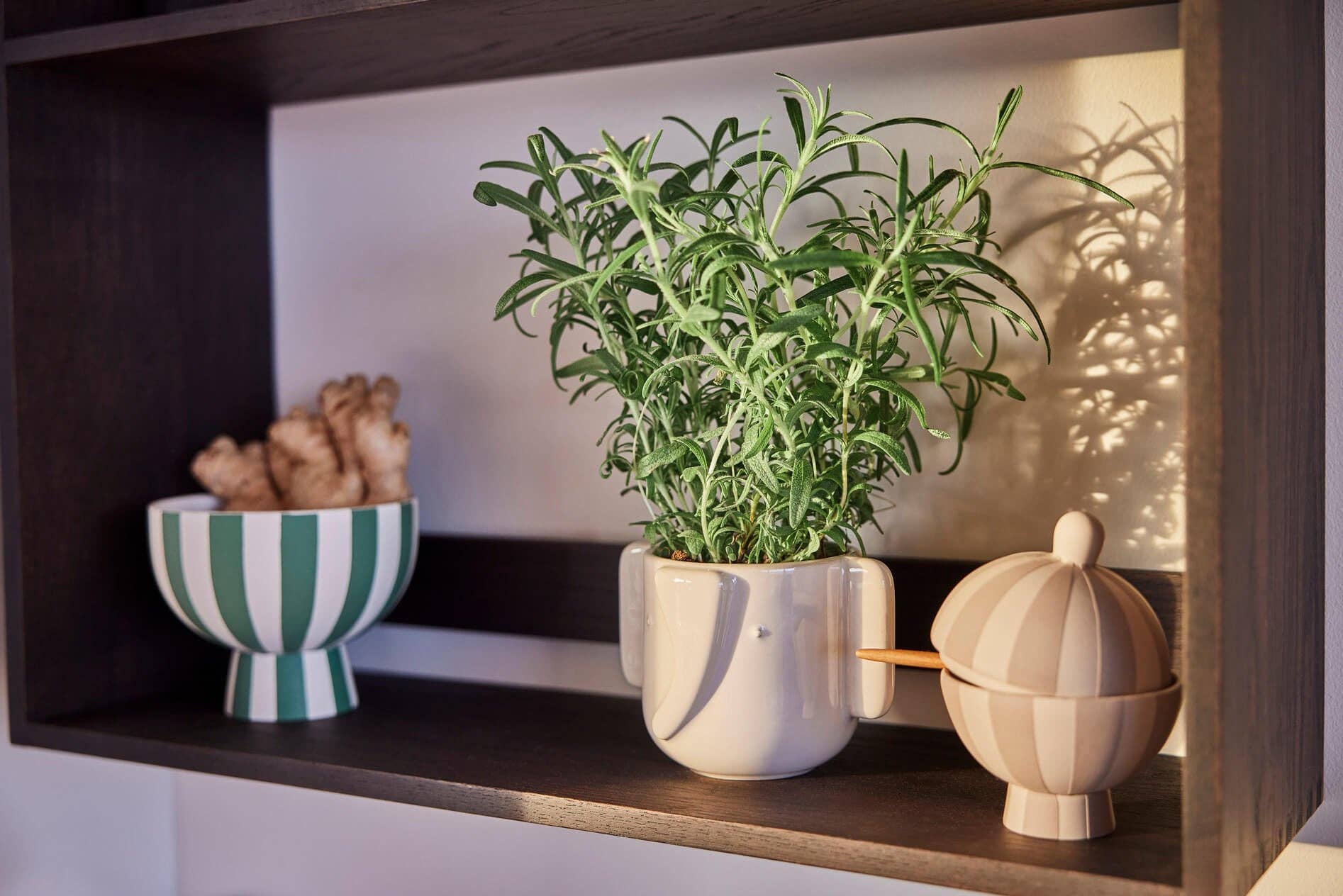 Toppu Bonbonniere Beige